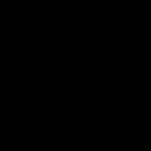 Meet your Posher, Jayden